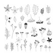 Hand drawn autumn floral illustrations collection on white background