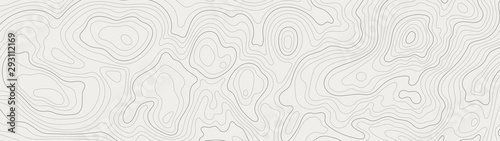 Cuadros en Lienzo topographic line contour map background, geographic grid map