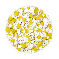 Wall Mural - Chamomile blossoms in white bowl. Fresh camomile flowers, Matricaria chamomilla, used for herbal infusions and in traditional medicine. Closeup, from above, on white background, isolated macro photo.