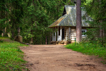 Old Wooden House In The Forest