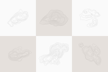 Wall Mural - set of topographic design elements, circular geographic grid map