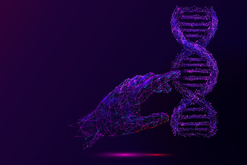 Poster - Genetic analysis and research low poly wireframe illustration. Polygonal DNA chromosome analyzing mesh art. 3D scientist hand touching double helix molecule model. Molecular biology science in purple