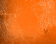 shabby orange wall covered with spooky spider web - halloween theme bright copy space background