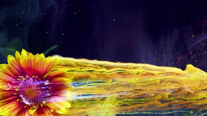 Wall Mural - Close-up gaillardia aristata. Acrylic colors and ink in water.