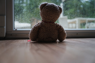 teddy bear toy sitting by a large window looking out