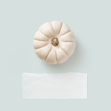 Minimalist Pastel Colored Autumn / Fall Concept Or Greeting Card With Single White Pumpkin On A Blue Background, Piece Of Blank Vellum As Copyspace For Your Text, Flat Lay / Top View