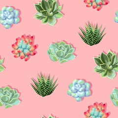 Wall Mural - Vector seamless pattern with high detail succulent