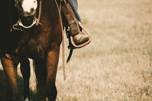 Western Lifestyle Shows Boot In Stirrup Close Up On Horse During Horseback Riding, Copy Space On Field Background.