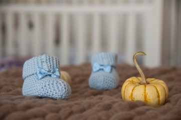 knitted baby shoes on woolen scarf. autumn baby clothes with pumpkins.