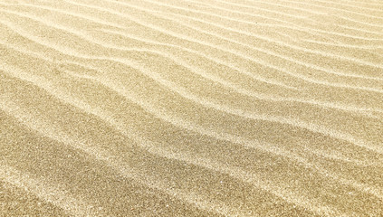  Close-Up Of Sand Background Texture