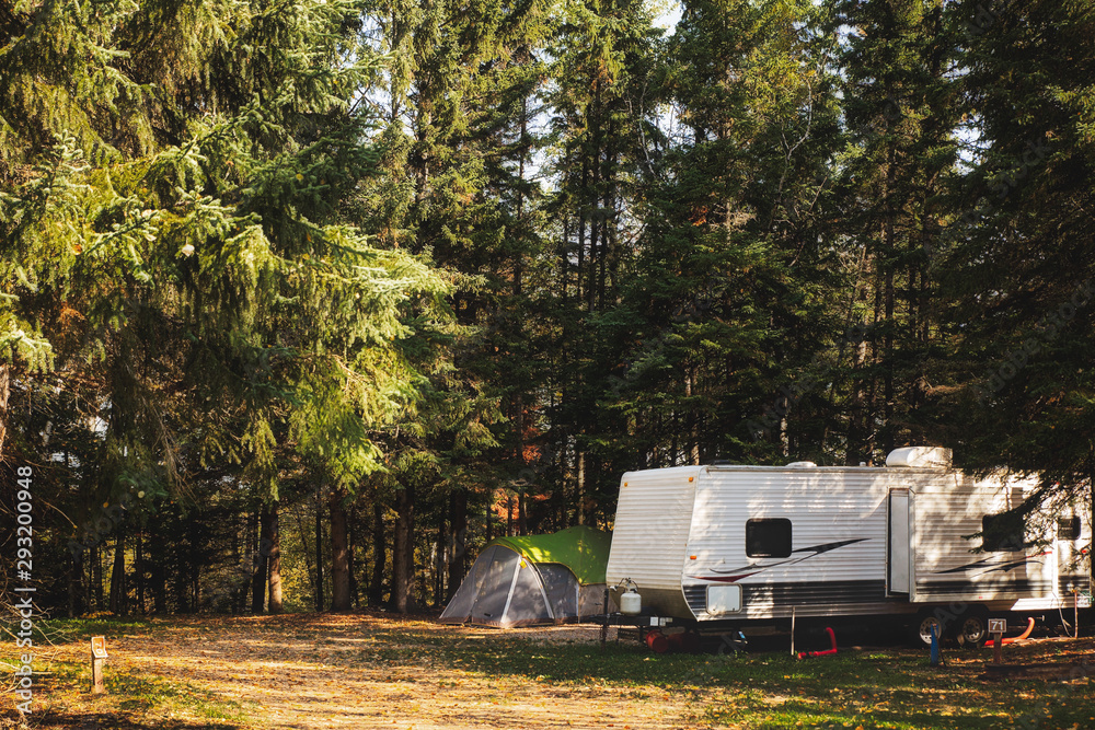 A camper trailer and tent surrounded by tall pine trees parked in a ...