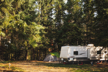 a camper trailer and tent surrounded by tall pine trees parked in a deserted campsite in a autumn da