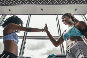 Wall Mural - Two athlete woman giving high five in the gym.