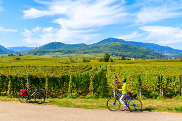 Young woman cyclist stopping by vineyards on Alsatian Wine Route near Ribeauville village, France