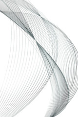 Wall Mural - Abstract Black and White Pattern with Waves. Striped Linear Texture. 3D Illustration