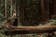 © Jeremy Francis - Asian tattooed woman in black evening dress poses on a fallen redwood tree in the forest