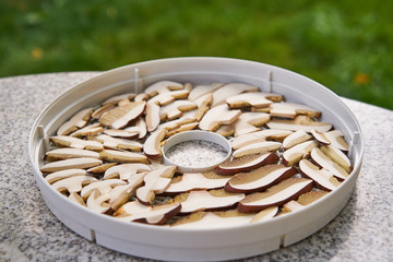 Sliced fresh wood mashrooms, pine bolete or pinewood king bolete in dryer plato ready to be dryed and preserve for winter season outdoor on the table. Food ingredient of czech or east european cuisine