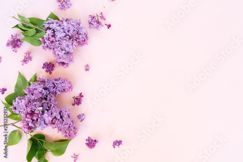 Fresh lilac flowers