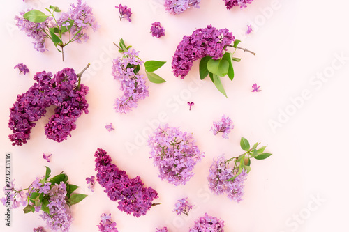 Fresh lilac flowers