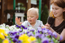One Year Old Exploring Flower Shop With Her Mother. Touching And Smelling Colorful Pansies.