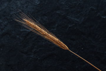 Spikelet of wheat on a black stone. Background, texture. Close-up