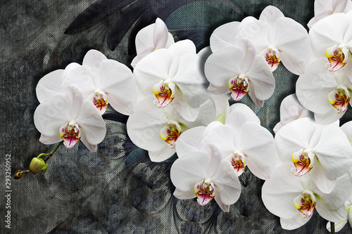 Naklejka - mata magnetyczna na lodówkę 3d wallpaper texture, white orchids on abstract canvas textures. Grey background. Murals effect.