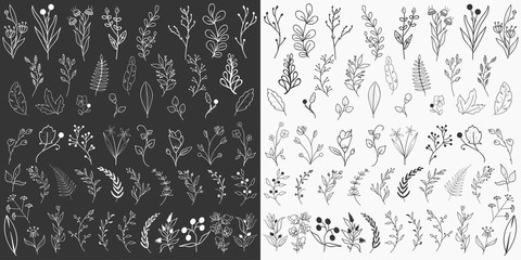 Hand Drawn Floral Elements Vector