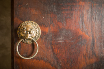 Door lion Old wood Background.