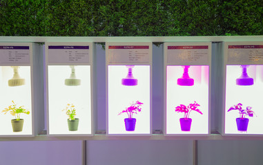 Wall Mural - Variety specification of artificial LED lighting for growing plant in indoor agriculture