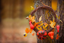 Round Wreath With On Natural Tree On Fall Background. Sunny Autumn Day, Daylight. Copy Space
