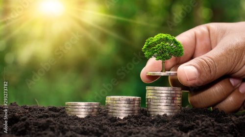 Fotografía Small green trees that are growing in the hands of people on the gold coin pile, different from the bank financial concept