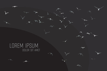 Wall Mural - silhouette of a flock of flying birds