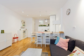 Interior of a open plan apartment, living room, kitchen, dining area