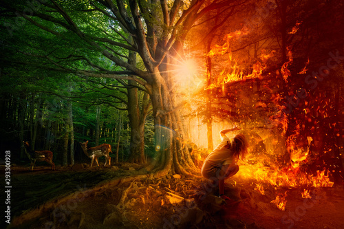 Fotografía Forest fires. Destruction of nature