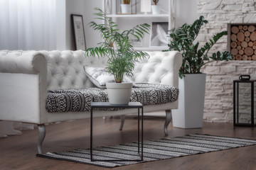 Living room in Scandinavian style, sofa, plants in vases