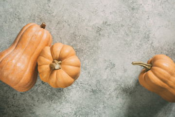 Wall Mural - orange pumpkins for cooking on a grey surface.