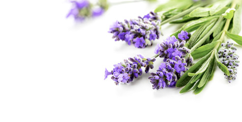 Beautiful Lavender flowers bunch on a white. Shallow DOF