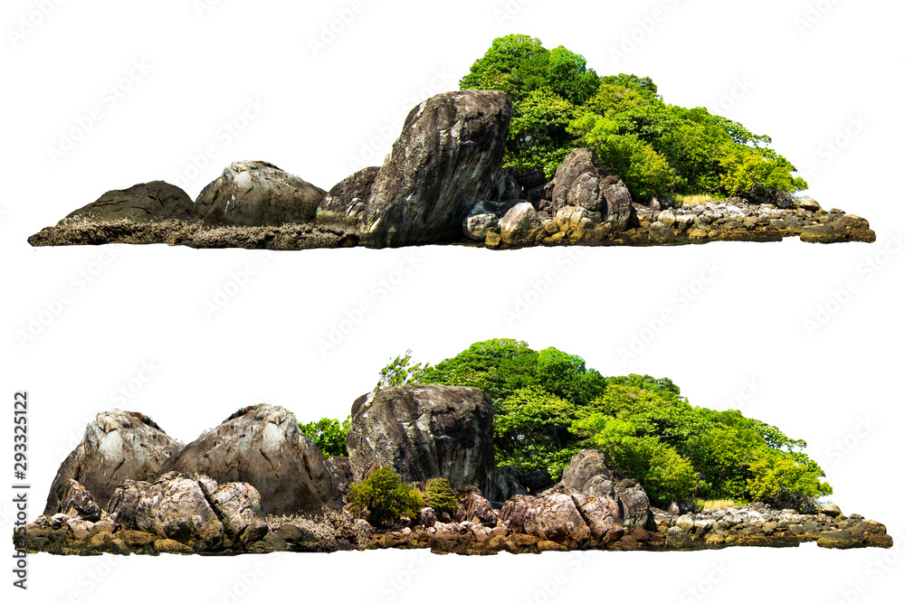 The trees on the island and rocks. Isolated on White background - obrazy, fototapety, plakaty 