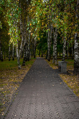 Wall Mural - Beautiful autumn park. Autumn in Moscow. Fall trees and leaves. Autumn Landscape. Park in Fall. Forest in Autumn.