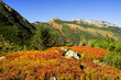 Tatry złota jesień widok na Giewont