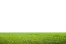 Green Grass Field Isolated On White Background With Clipping Path.