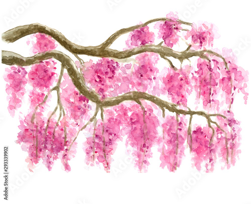 Pink Cherry Blossom Tree Border Watercolor Painting Hand Drawn On