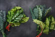Fresh  red chard and Tuscan kale leaves on a white plate and on rustic dark background. Green superfood. Top view, blank space
