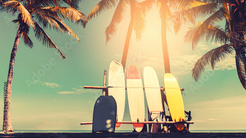 Fotografía Surfboard and palm tree on beach background.