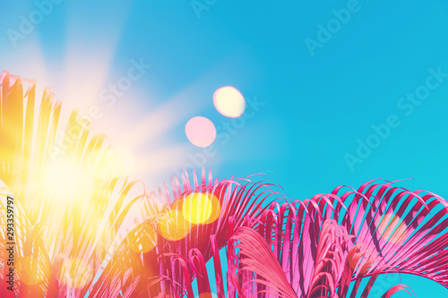 Copy space pink tropical palm tree on sky abstract background. Summer vacatio...