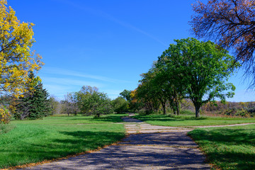 Poster - Pathway in a park