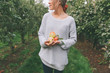 © CM Photo - A young woman holding apples in an apple orchard.