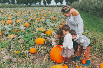 a family exploring in the pumpkin patch in fall.