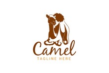 Camel Logo With Silhouette Illustration Of Camel