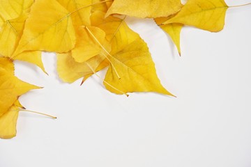 Autumn flat lay composition of yellow leaves. Fallen leaves, bright autumn concept. Creative seasonal layout with copy space for text. Top view.